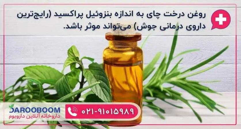 روغن درخت چای برای جوش