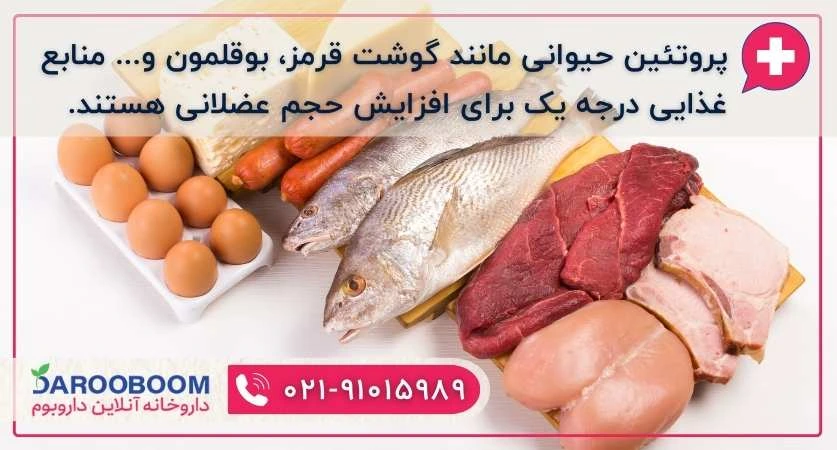 پروتئین حیوانی برای ساخت عضلات