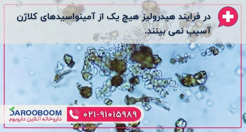 آمینو اسیدهای کلاژن