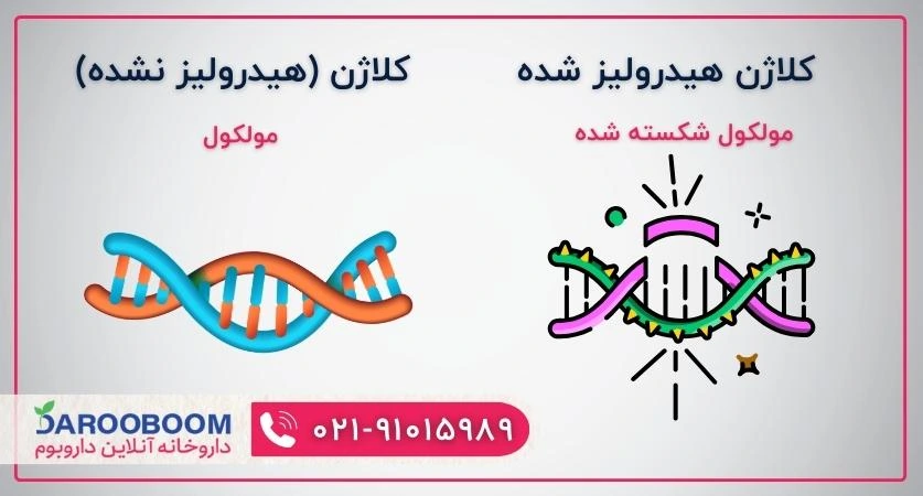 فرایند هیدرولیز کلاژن