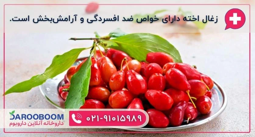 زغال اخته برای کاهش استرس
