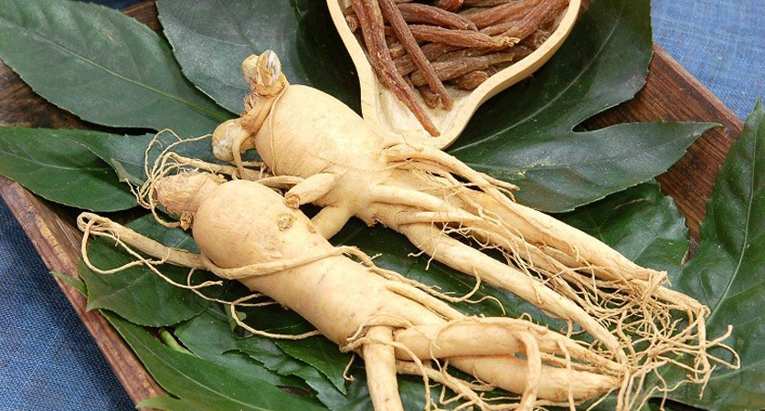 قرص جینسینگ برای انزال زودرس