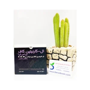 سفارش آنلاین ویال خوراکی ال کارنیتین کاف برند BSK